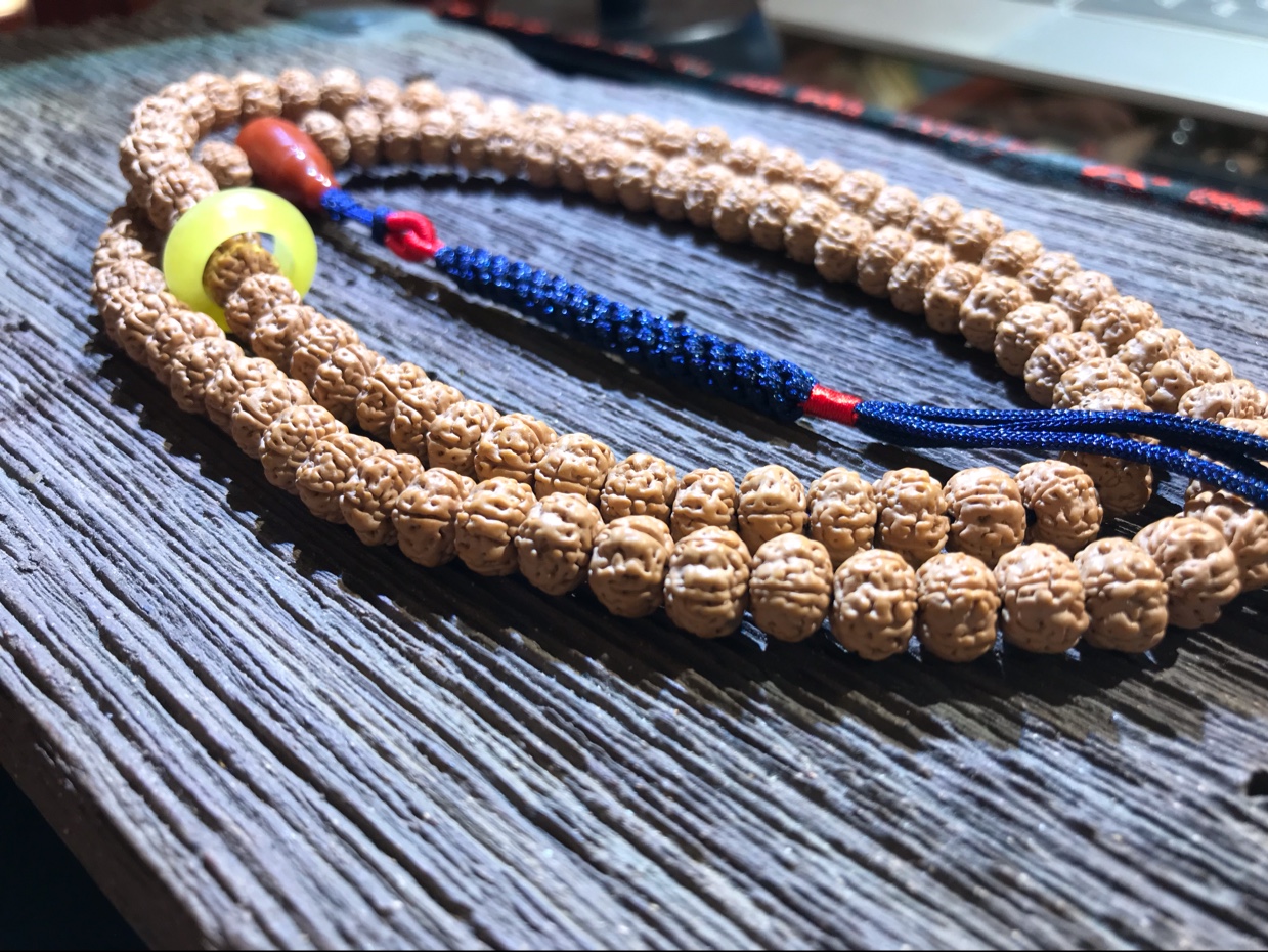 「晤美」2020树王新籽 矮桩 高密度 高油性 同树籽