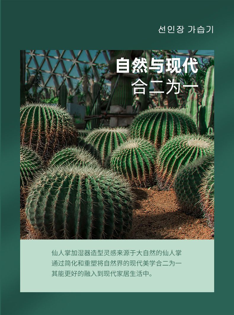 Scented cactus humidifier, portable battery, USB mini humidifier, customized for home, bedroom and office detail image 3