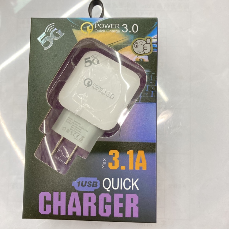 Plug 3.1A