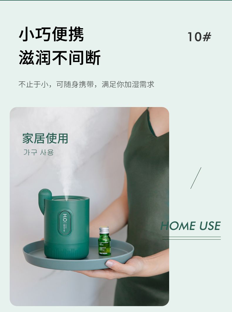 Scented cactus humidifier, portable battery, USB mini humidifier, customized for home, bedroom and office detail image 14
