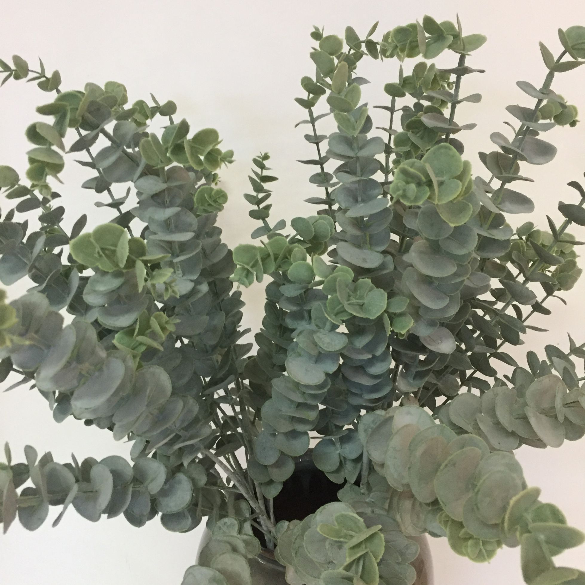 5叉发毛料金金钱叶尤加利叶软胶塑料花详情图3