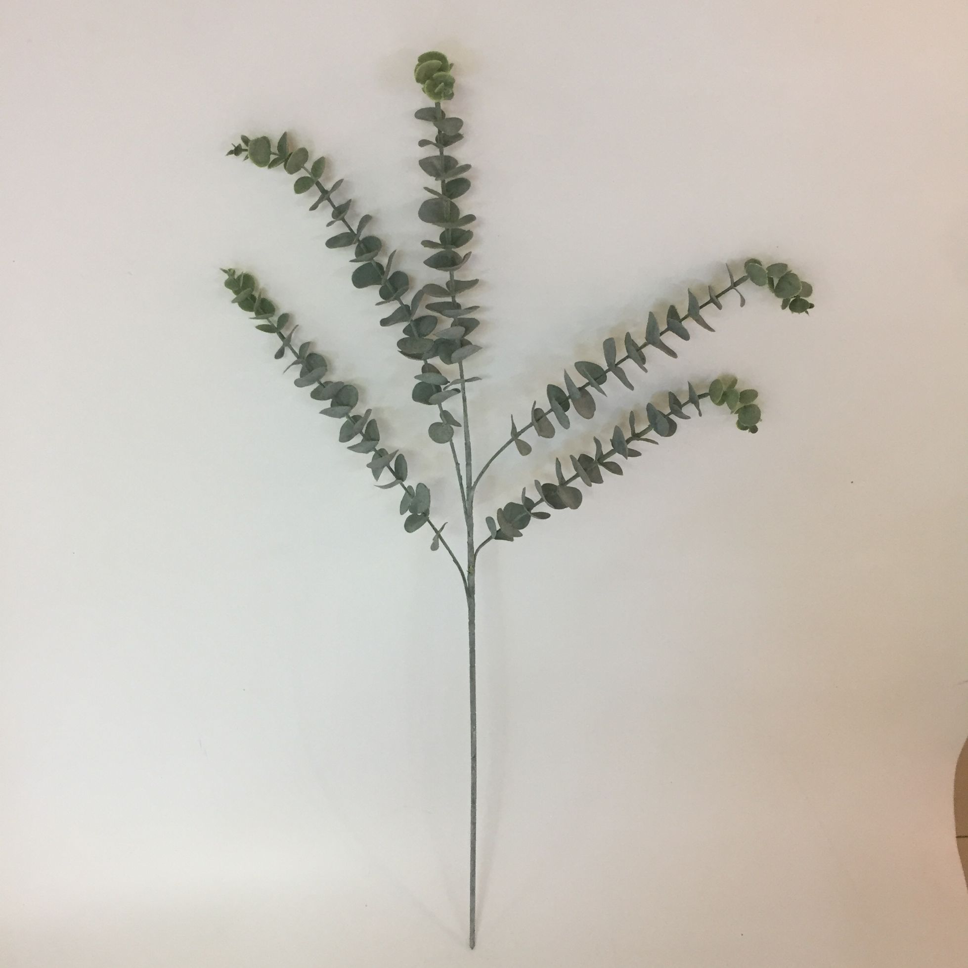 5叉发毛料金金钱叶尤加利叶软胶塑料花详情图2