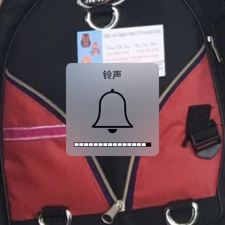 Bag 8 thumbnail