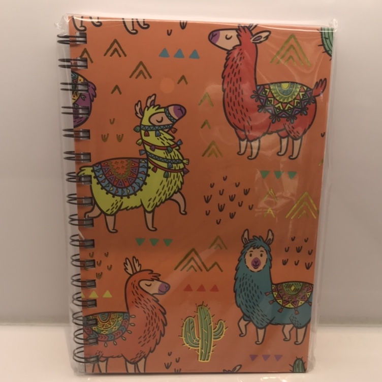 European and American wind coil book, Orange cactus student book