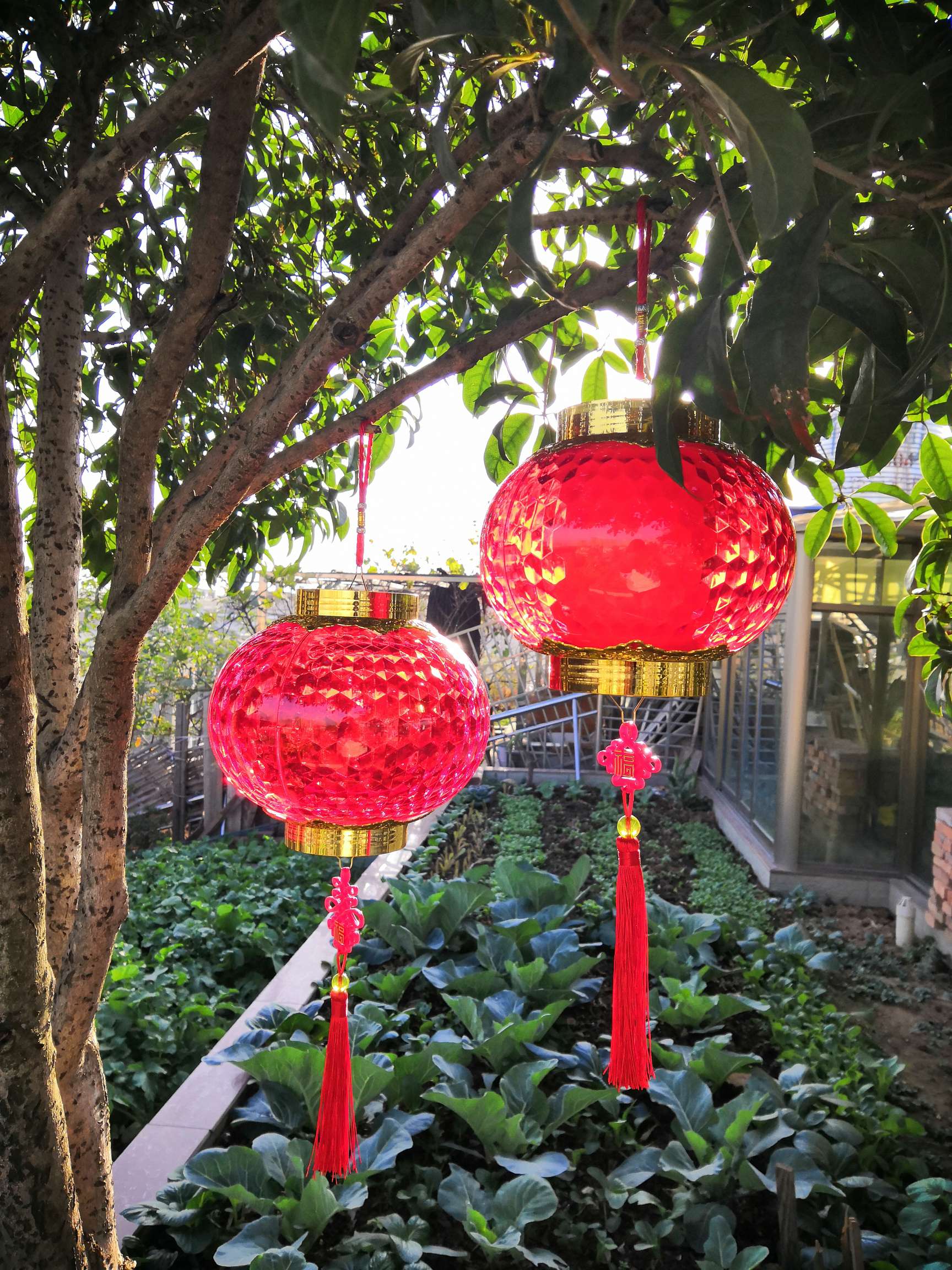 水晶镭射园灯电池手提灯详情3