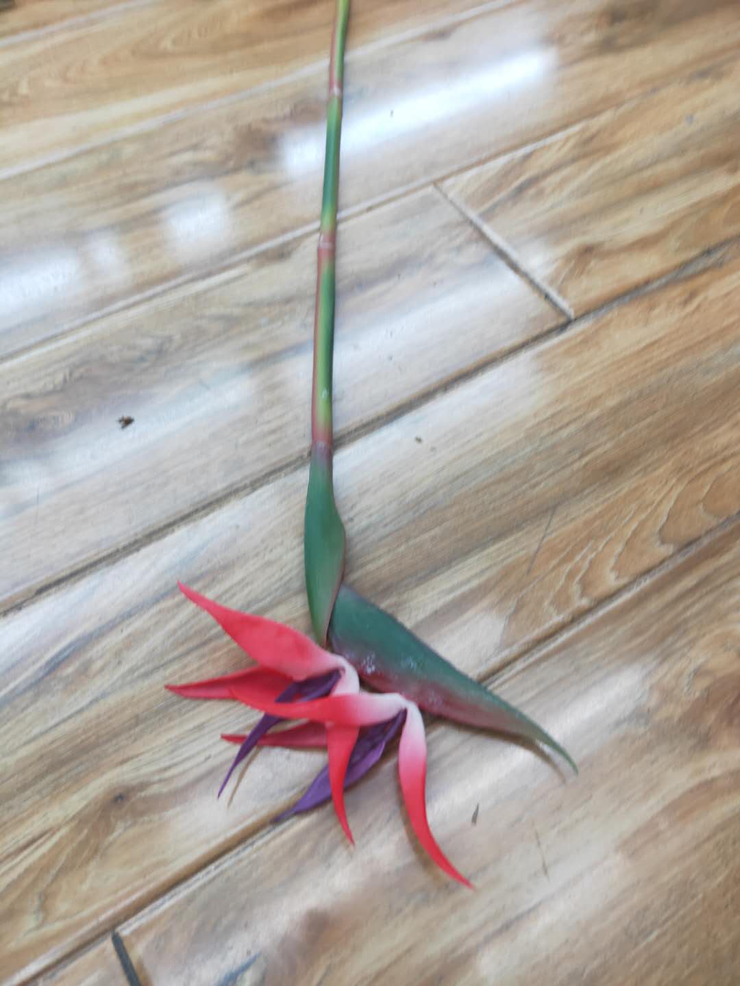 Factory direct sales, wholesale of artificial flowers, blow-molded bird of Paradise. Available in various sizes and colors. Chinese trend detail image 3