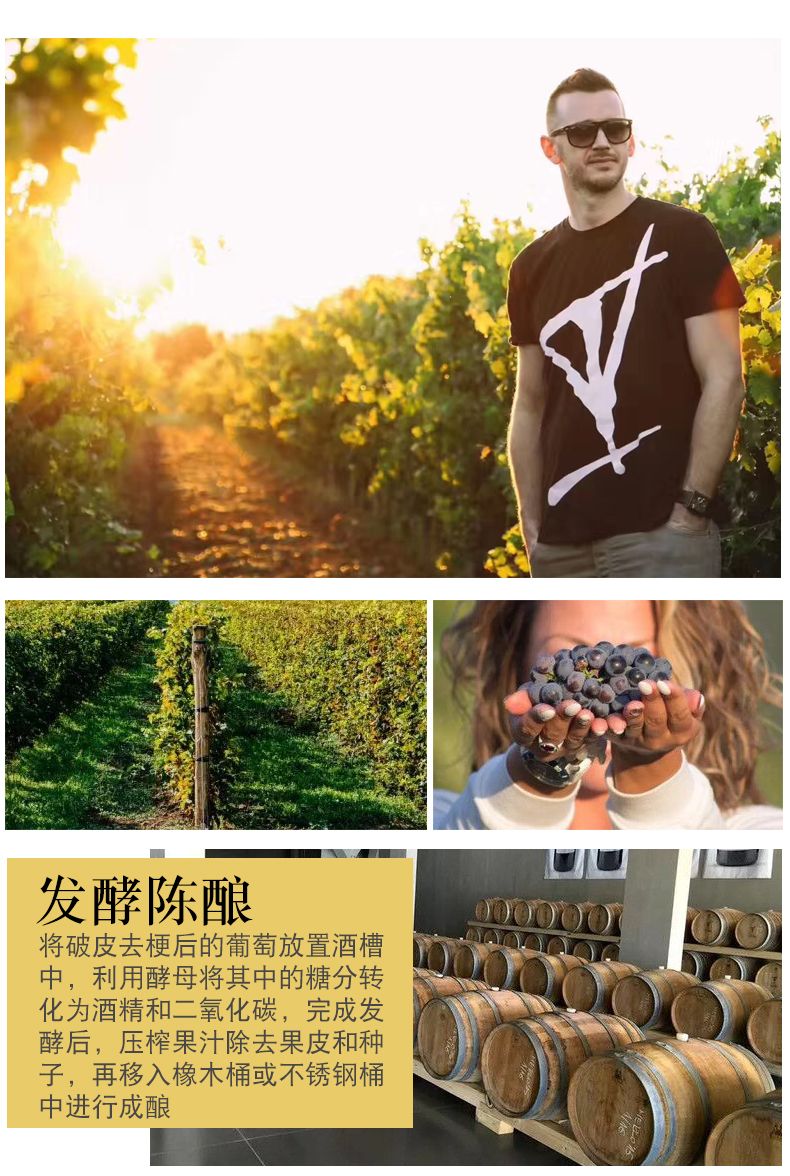 塞尔维亚红酒  布莱诺干红葡萄酒 酒庄原瓶进口 750ml单支装详情7