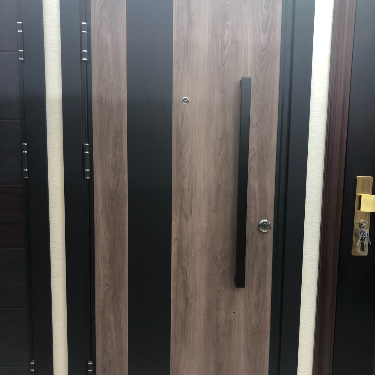 Turkish armories door Armored door 2