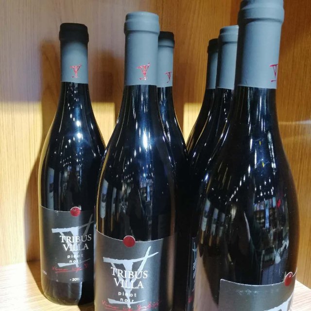 塞尔维亚红酒  黑比诺干红葡萄酒 酒庄原瓶进口  750ml单支装详情图3