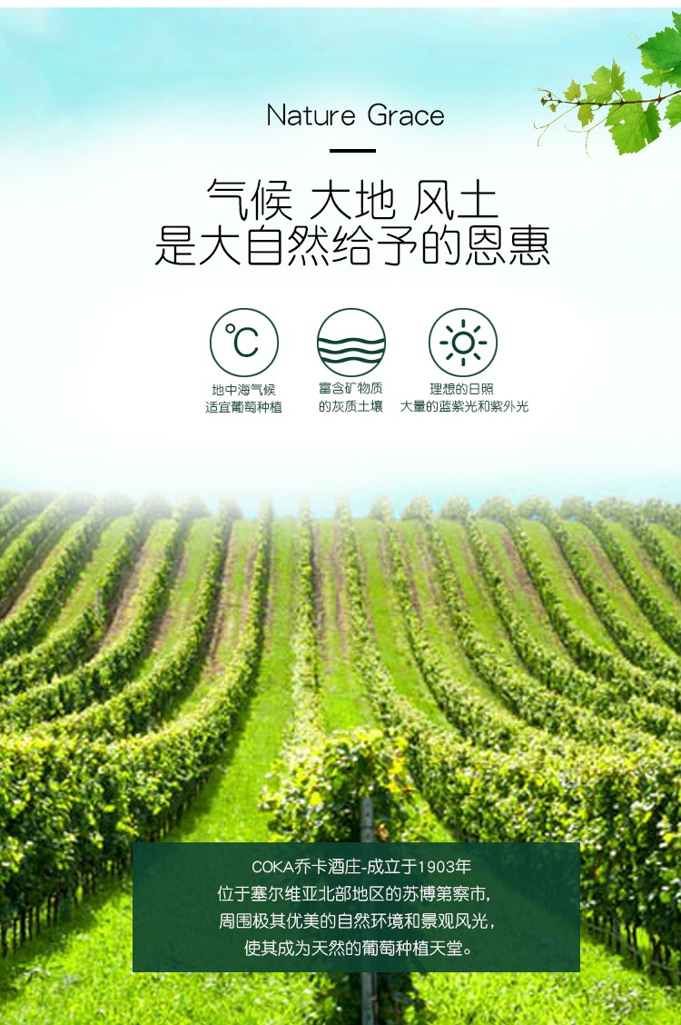塞尔维亚红酒 乔卡克莱沃半甜红葡萄酒 原瓶进口 女士酒 单支装详情图6