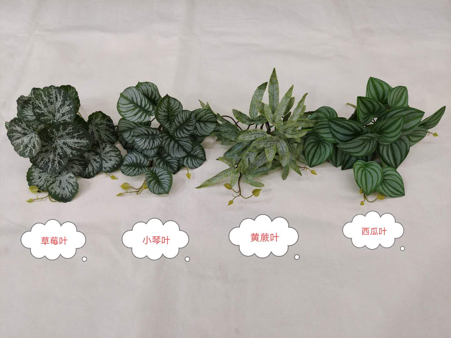 2020新款10吊藤叶