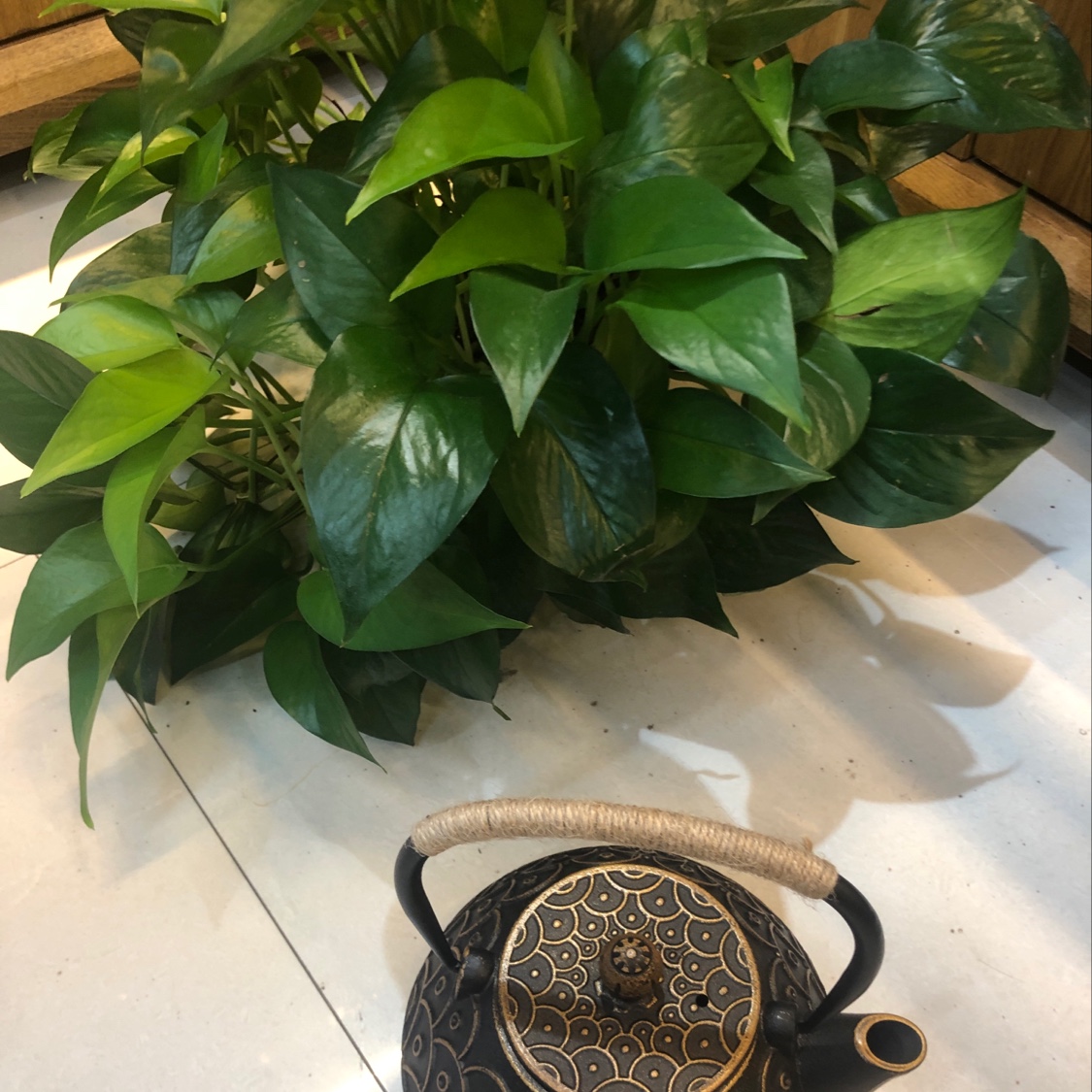 铁壶茶壶工艺壶详情图5