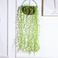 仿真植物吊灯柳条 挂壁垂吊装饰吊灯墙面叶子绿植塑料藤条藤蔓图