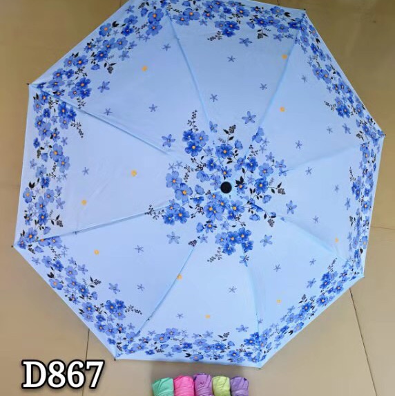D867