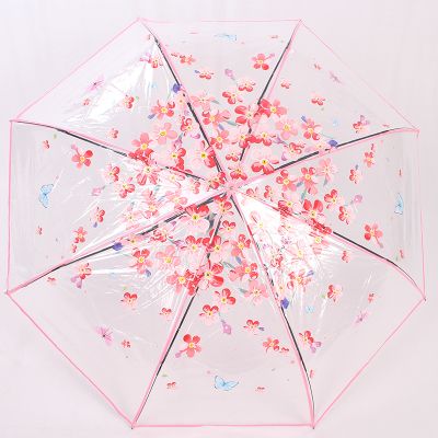 雨伞实物图