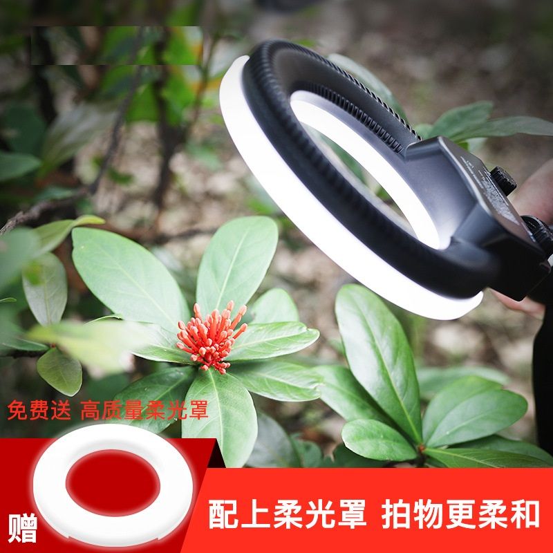 新款单反摄影摄像环形补光灯 主播拍摄补光灯