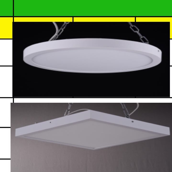 Ceiling flat panel light