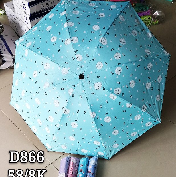 D866