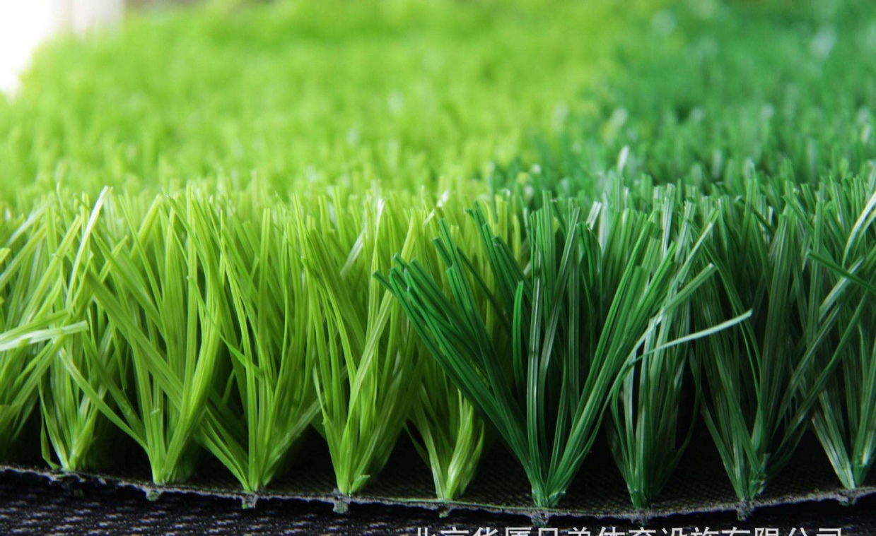 人造草坪 塑料草坪 球场草坪