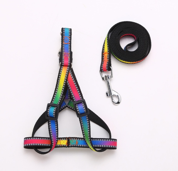 其他胸饰实物图