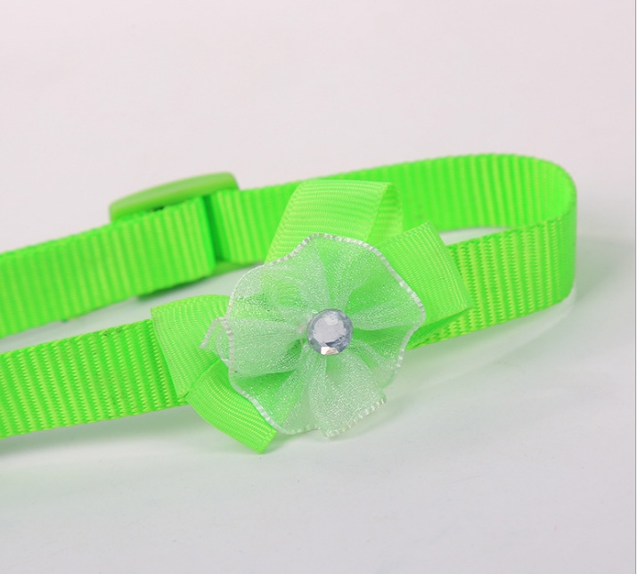 带花项圈白底实物图