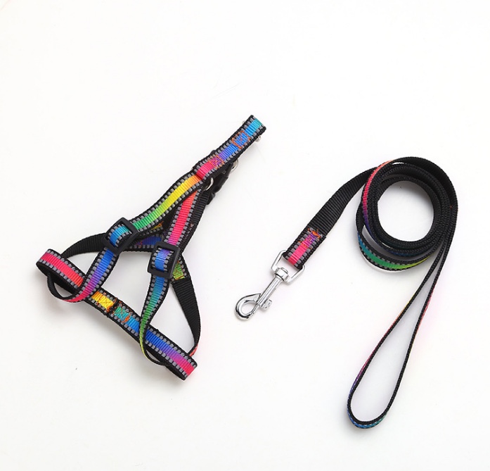 七彩反光胸背白底实物图