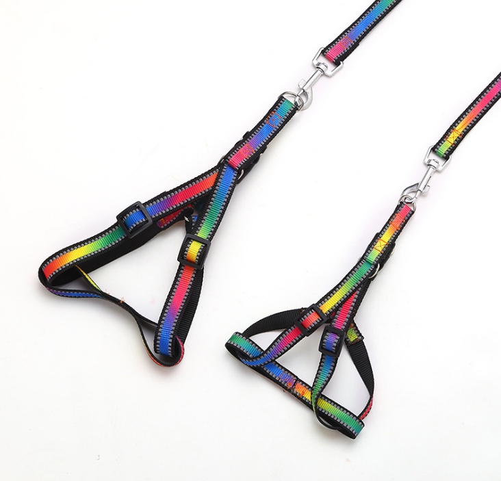 七彩反光胸背细节图