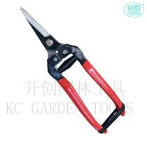 Fruit tree pruning scissors Garden pruning scissors Garden pruning scissors Flower scissors potted pruning scissors