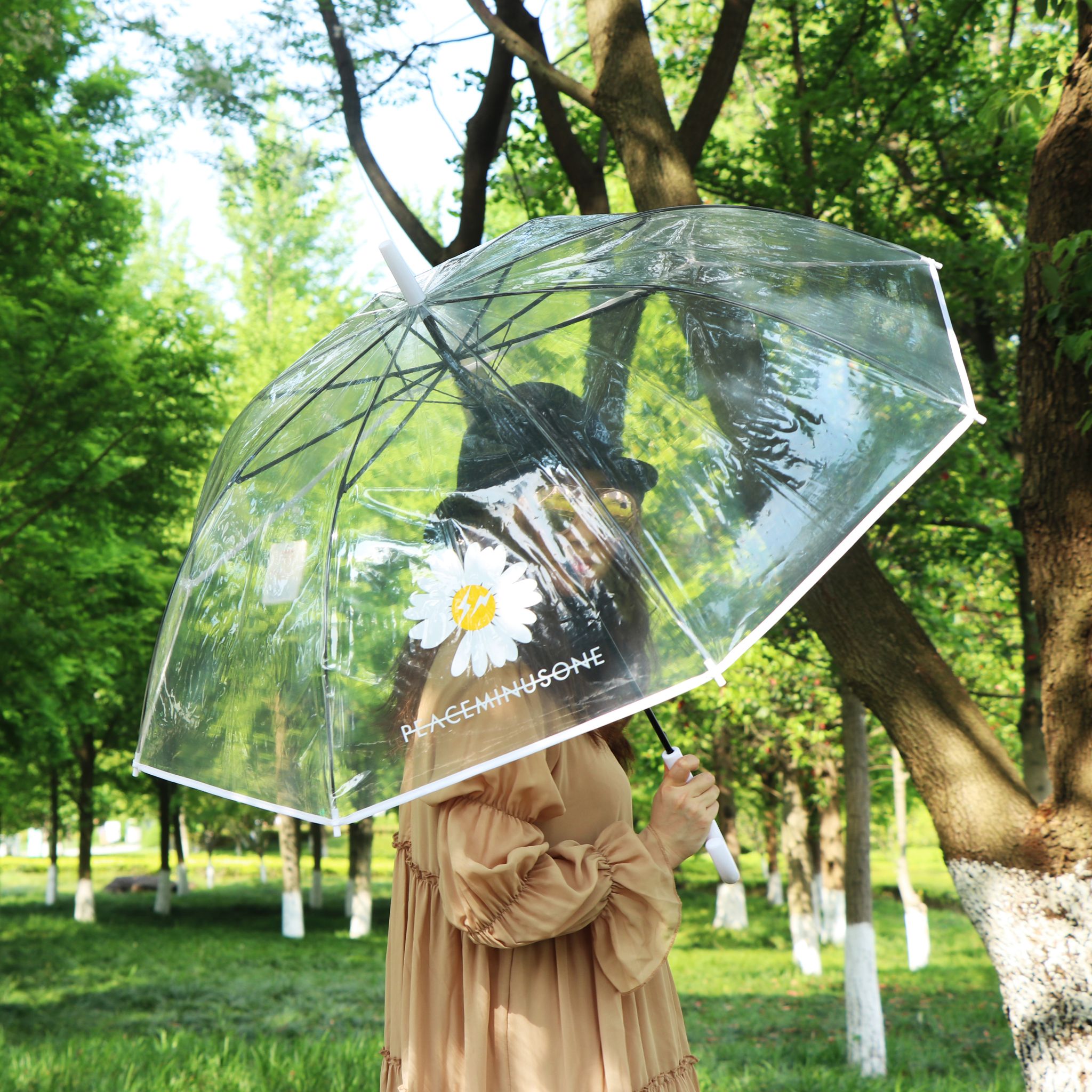Transparent umbrella, long-handled 8-bone umbrella, chrysanthemum umbrella, fresh and light umbrella