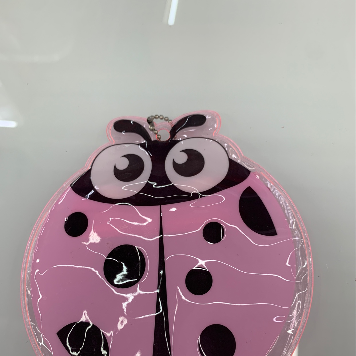 Ladybug Zipper Bag