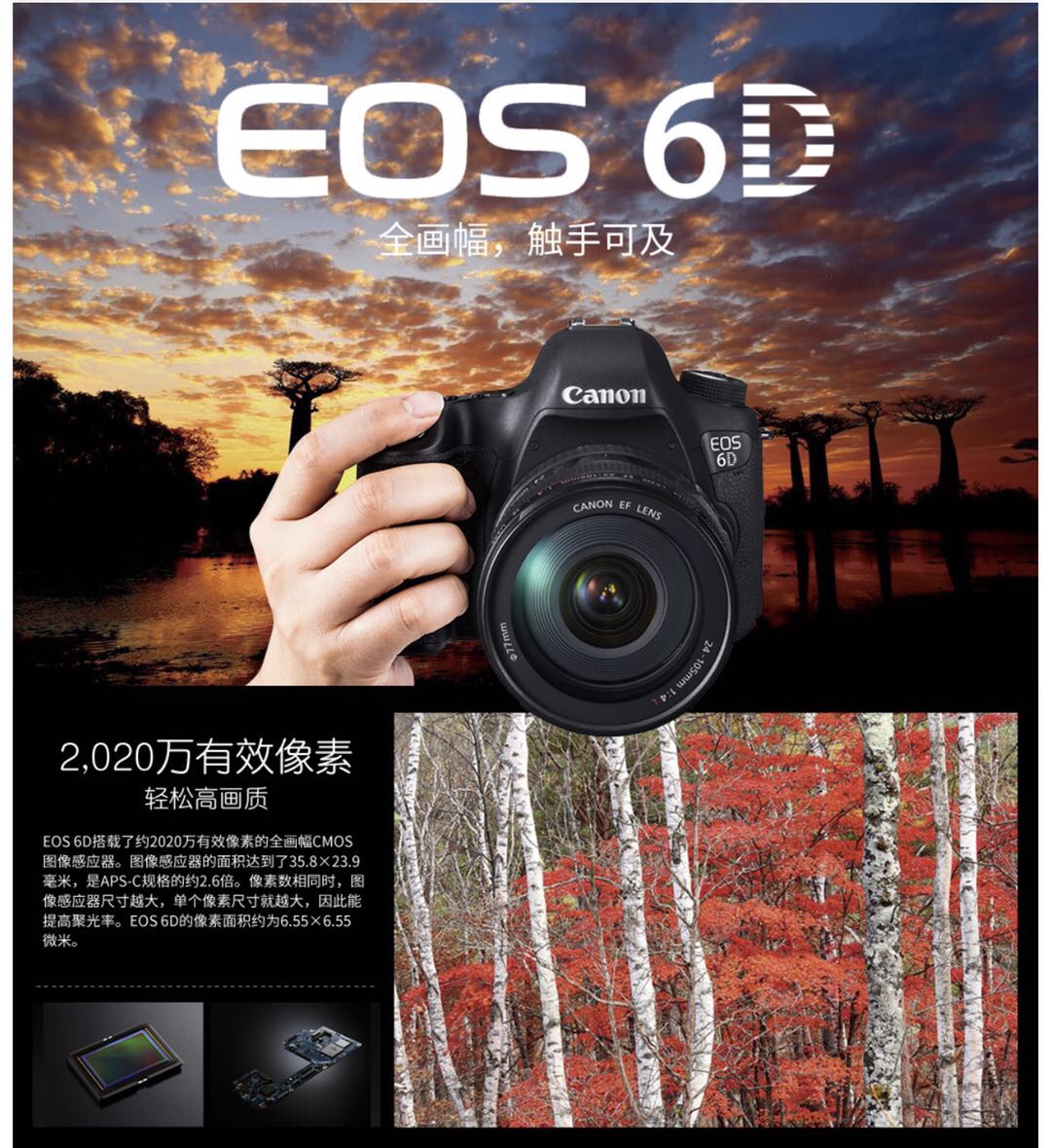 佳能EOS 6D全画幅单反相机24-105F4套机WIFI高清录像产品图