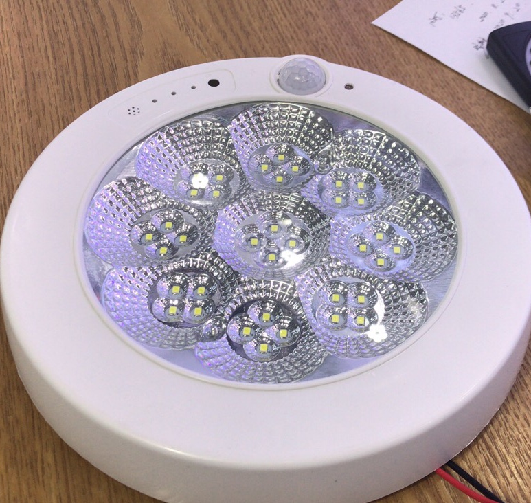 The corridor light, panel light and sensor light are exposed and circular