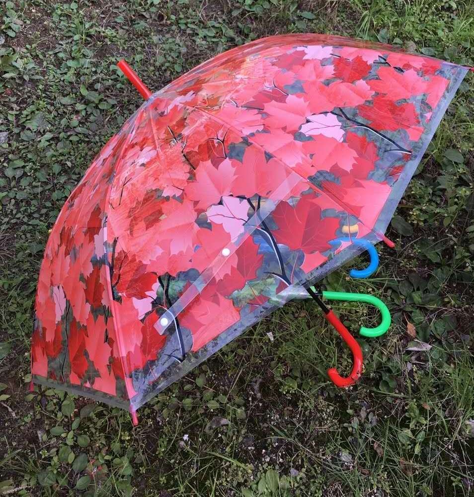 Transparent patterned umbrella detail image 1