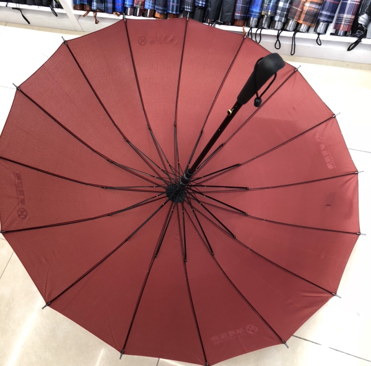 Umbrella