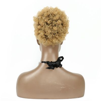 New best-selling caterpillar small hair bun, fluffy high-temperature silk wig, explosive hair bun details Picture
