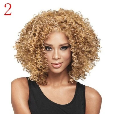 New best-selling African black small curly wig for export, European and American women's wig covers detail image 3