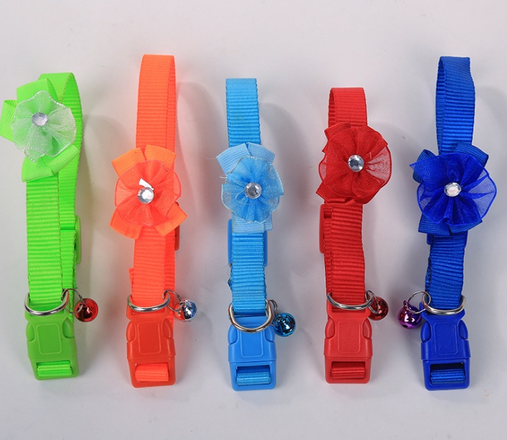 Pets wear flower collars thumbnail