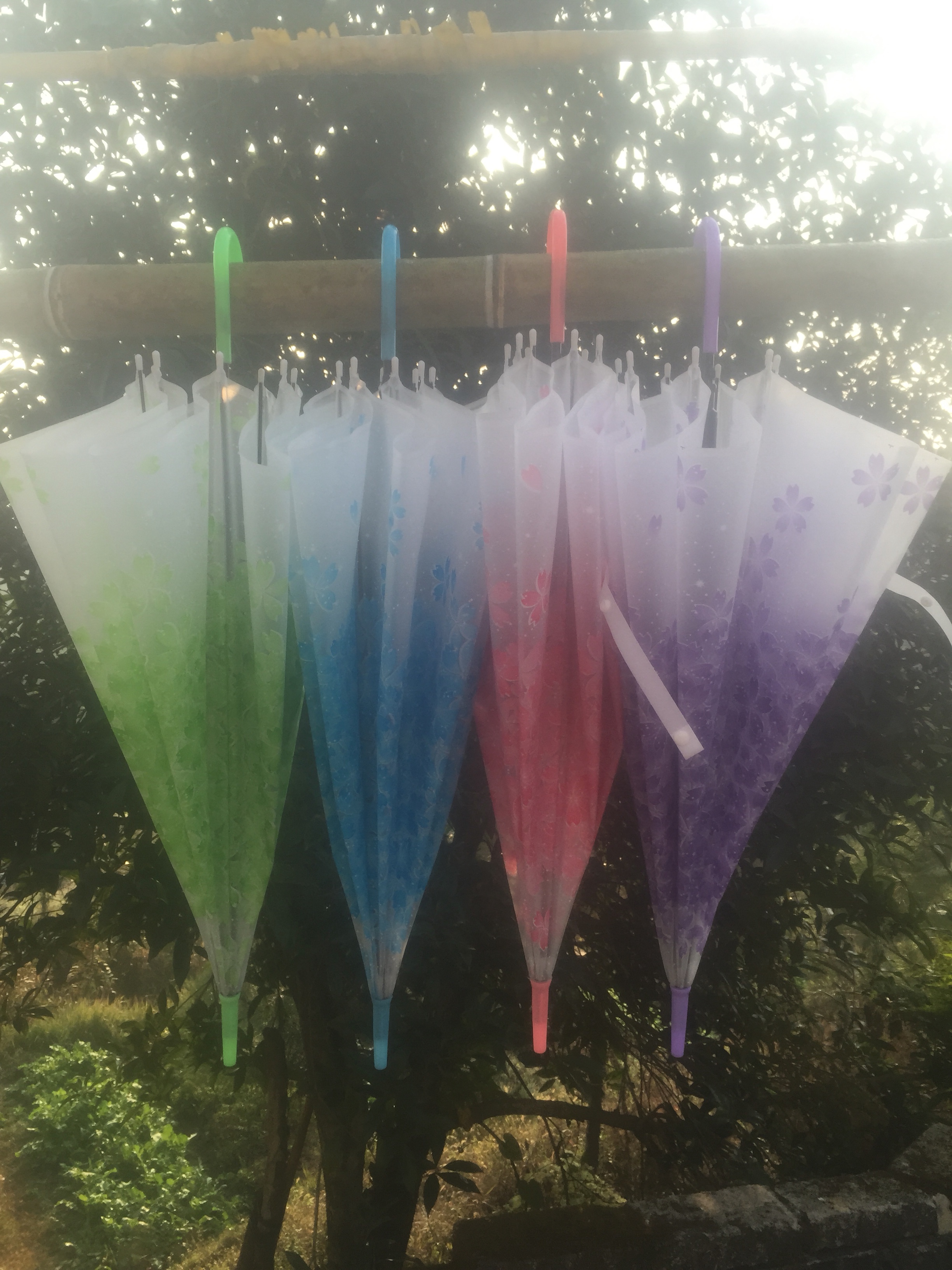 55公分EvA环保樱花伞，透明伞细节图