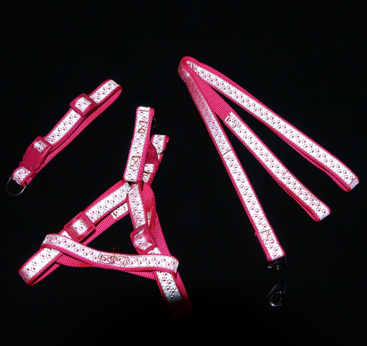 Pet glow-in-the-dark chest back undefined