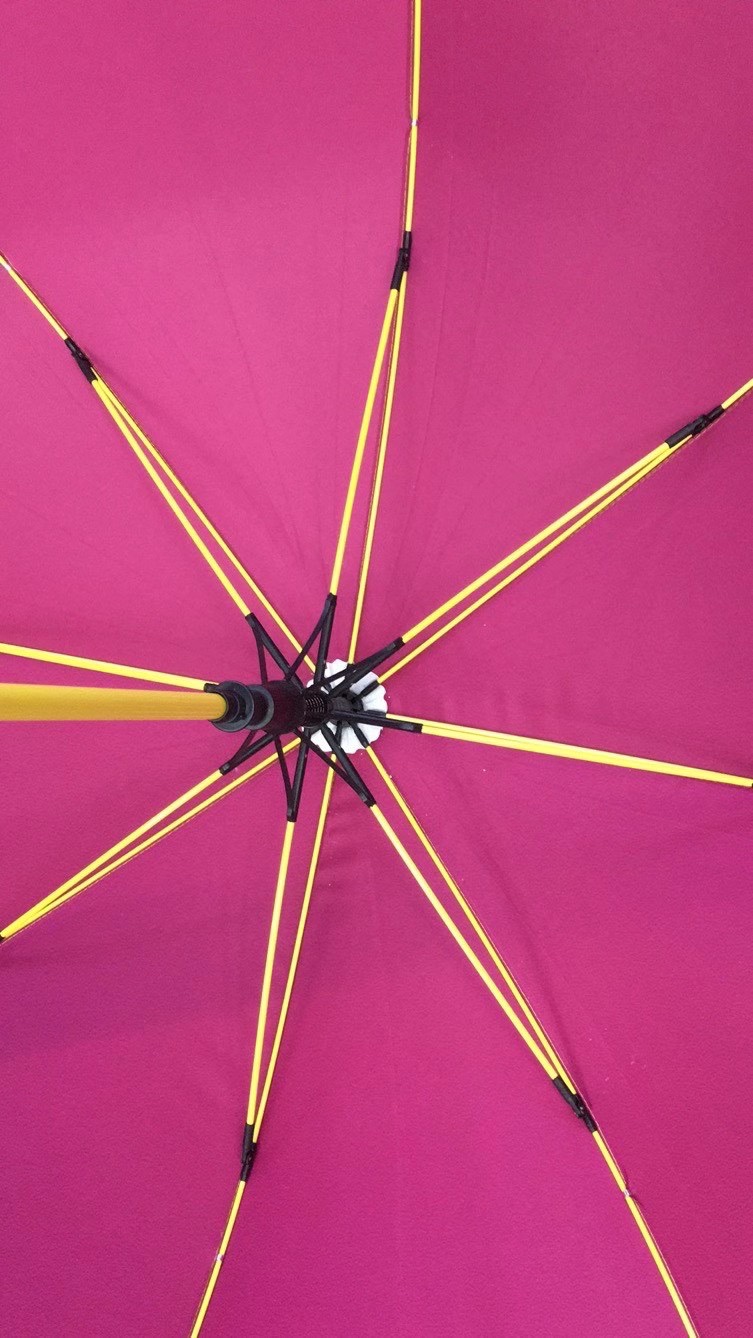 伞架/伞配件实物图