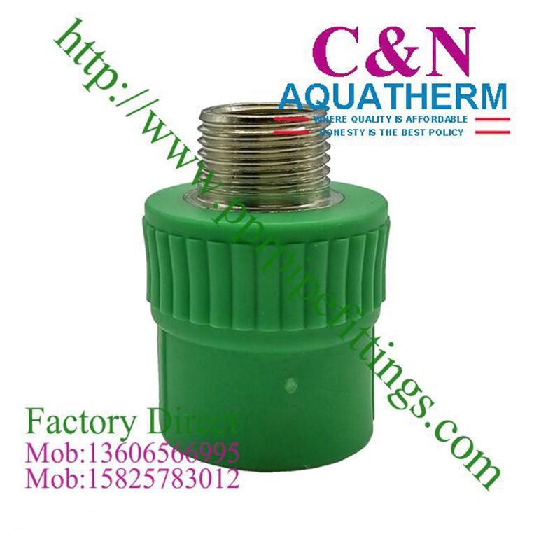 外贸出口PPR外丝直接 管件接头 PP-R外牙直接 聚丙烯管件