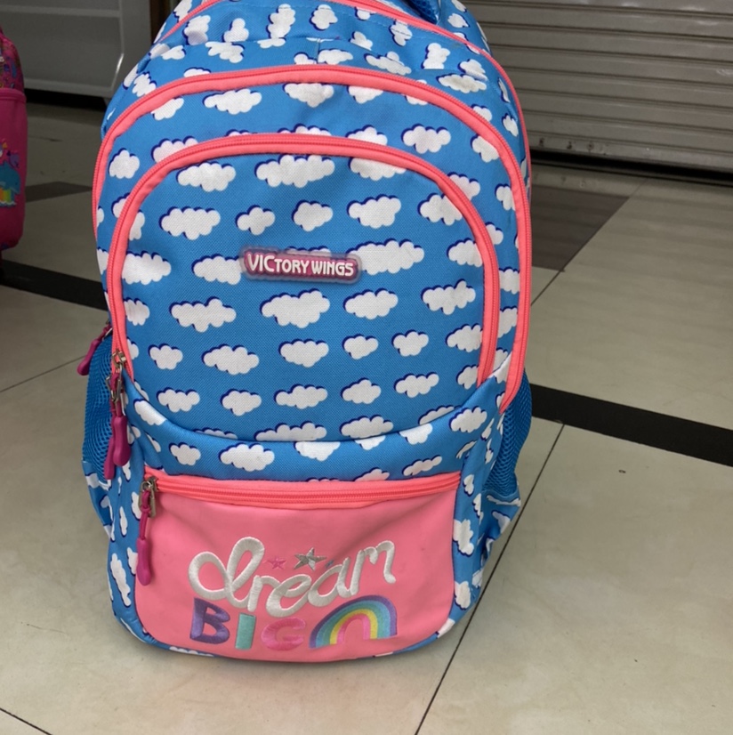 New backpacks are popular in South America