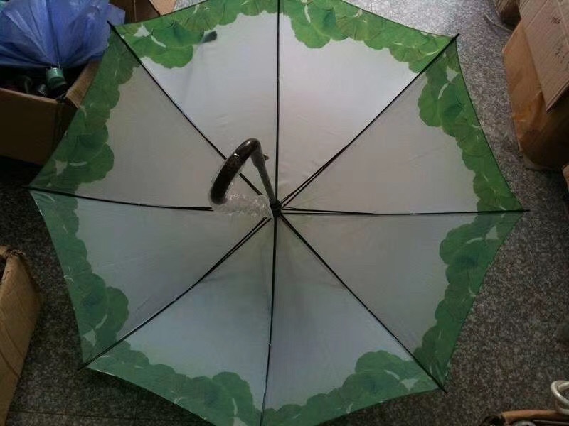 60公分乱花细节图