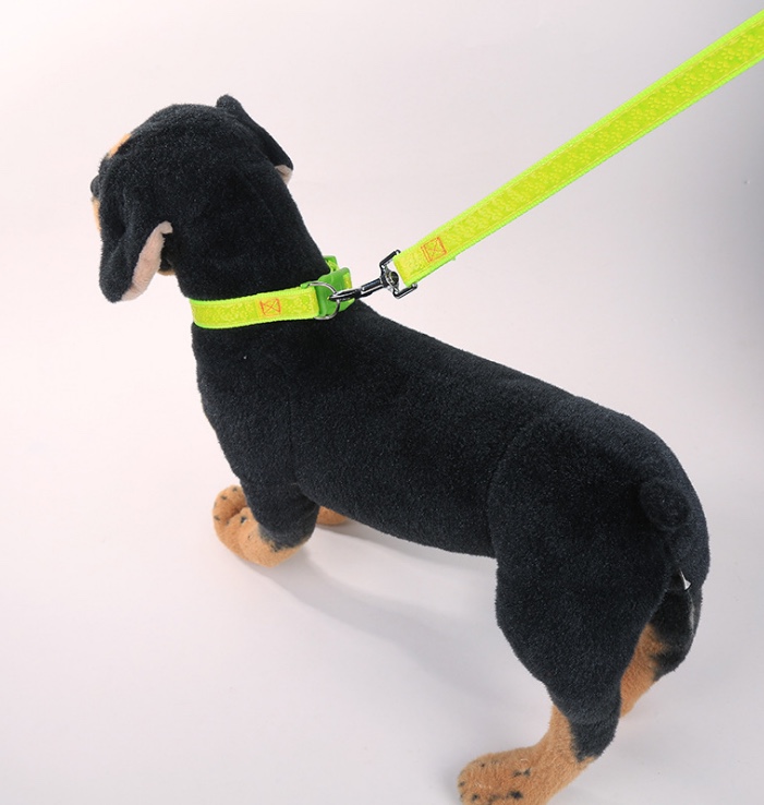 Pet glow-in-the-dark chest back Specification drawing