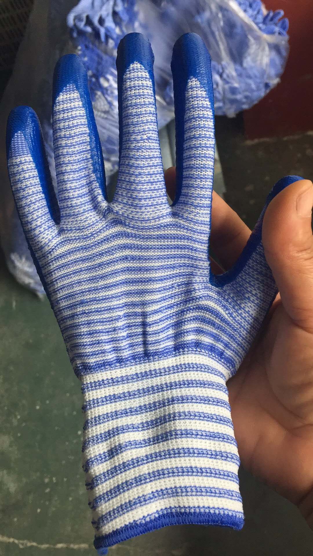 钙水斑马