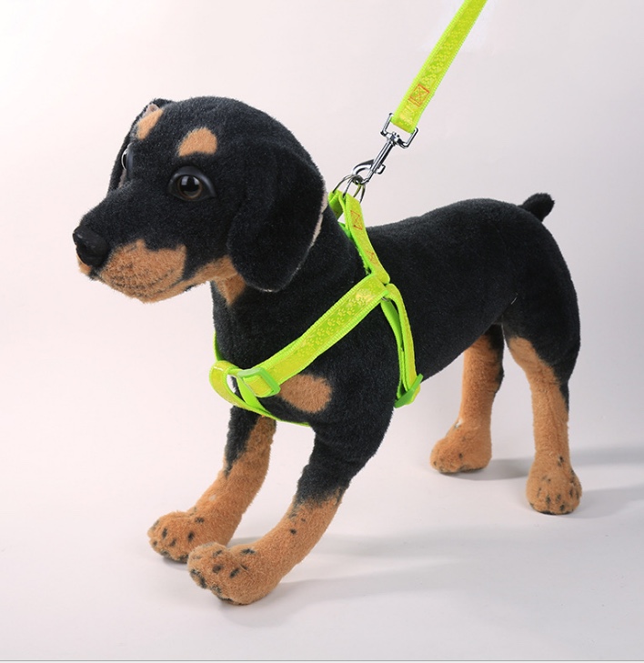 Pet glow-in-the-dark chest back details Picture