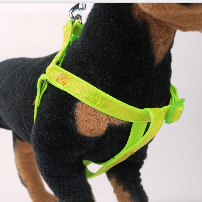 Pet glow-in-the-dark chest back Application Scenario