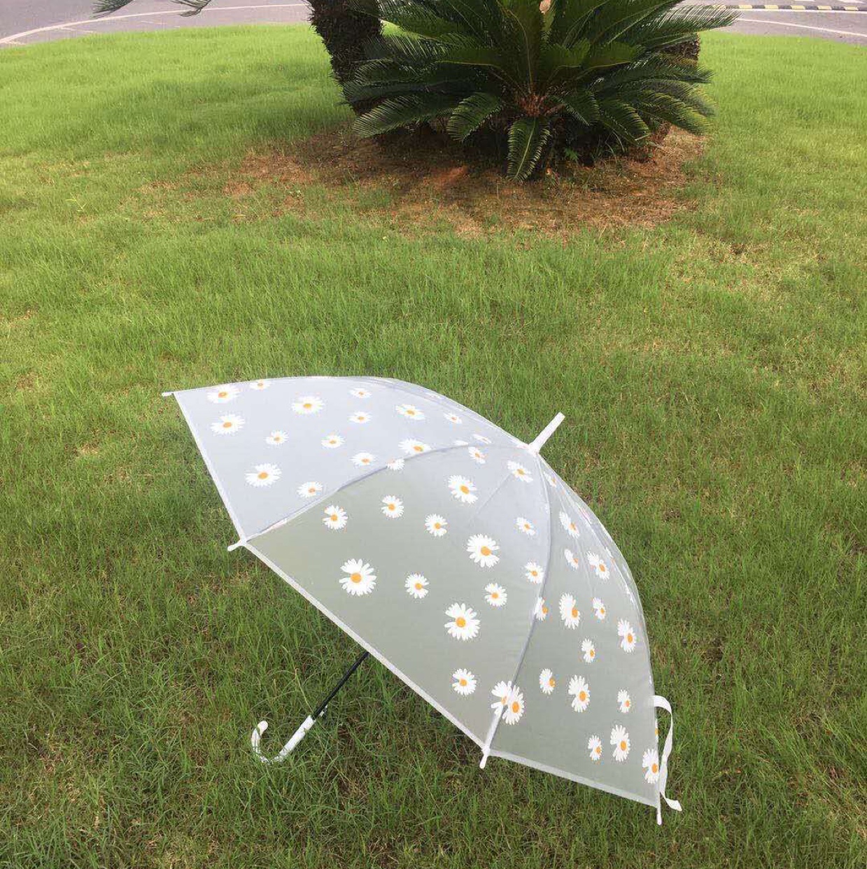 厂家直销新品EVA磨砂小雏菊