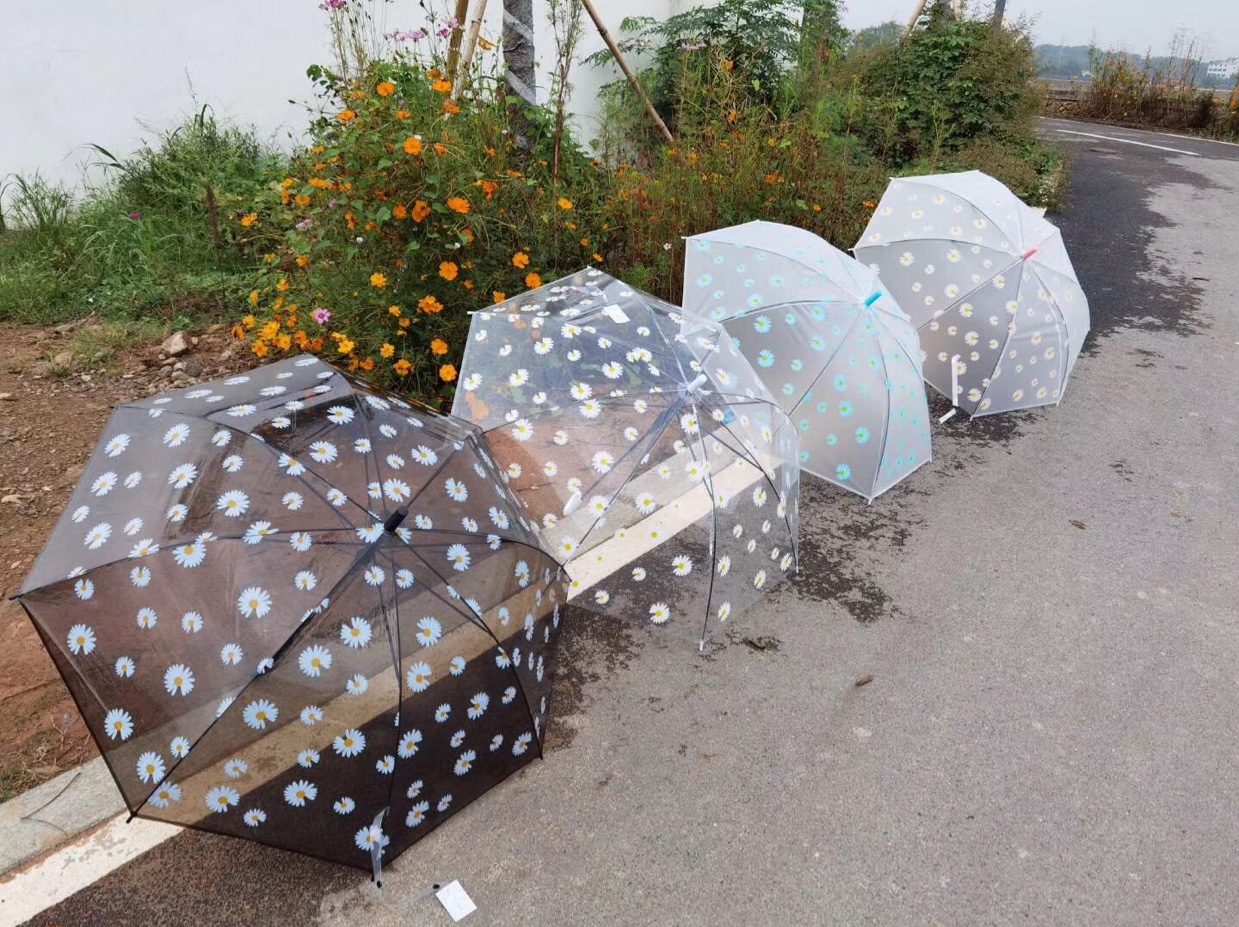 EVA环保伞，透明伞满版印小雏菊印花伞图