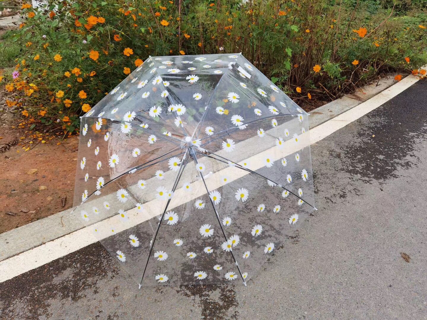 EVA环保伞，透明伞满版印小雏菊印花伞细节图